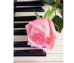 5d Diamond painting The Piano full round drill 30*40 لوحة البيانو الرسم بالماس