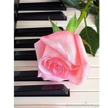5d Diamond painting The Piano full round drill 30*40 لوحة البيانو الرسم بالماس
