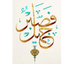 5d Diamond Painting Fasabr full Square drill 30*40 لوحة فصبر جميل رسم بالماس