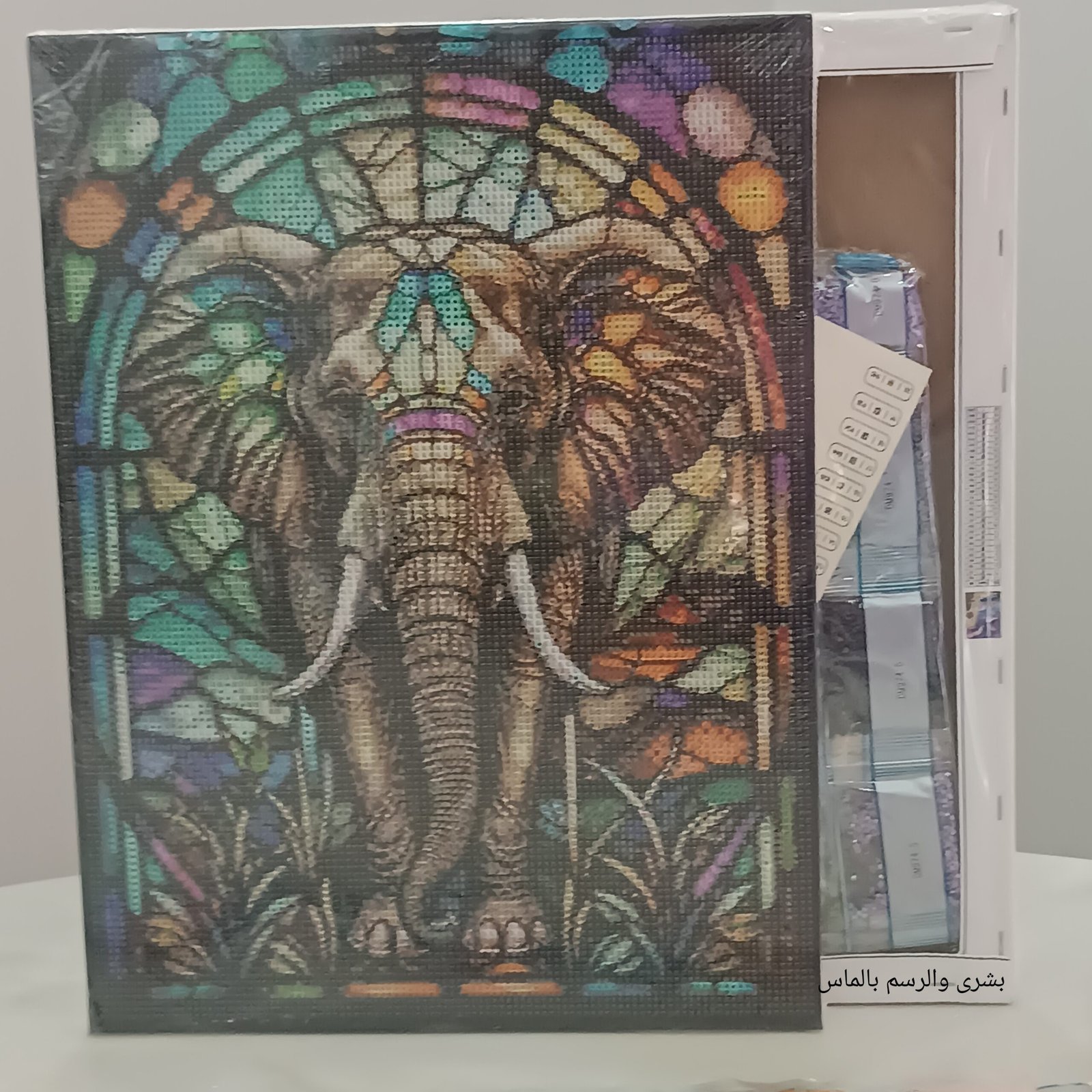 IMG_20260531_103457 Boshra Diamond Painting Egypt Elephant Frame & AB Full Round Diamonds 30*40cm لوحة ماسية الفيل بإطار خشب و دايموند إيه بي - الصورة 1